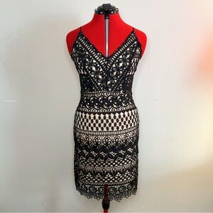 Lulu's Black Lace Overlay V-Neck Mini Dress